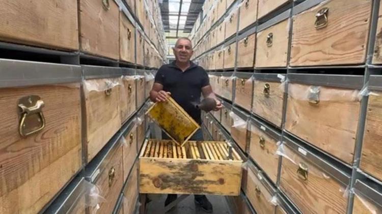 Mobil bal üretim tesisine dönüştürülen TIR'daki 340 kovanda hasat zamanı
