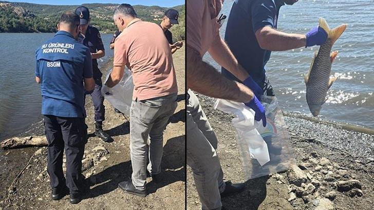 Atikhisar Barajı'nda balık ölümleri: Numune alındı