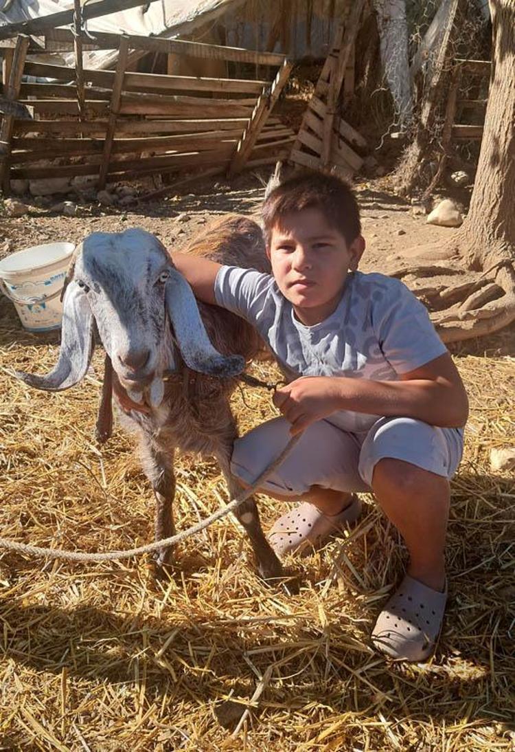 2 kuzen orman yangını sırasında rahatsızlanan keçiyi sırtlarında taşıdı