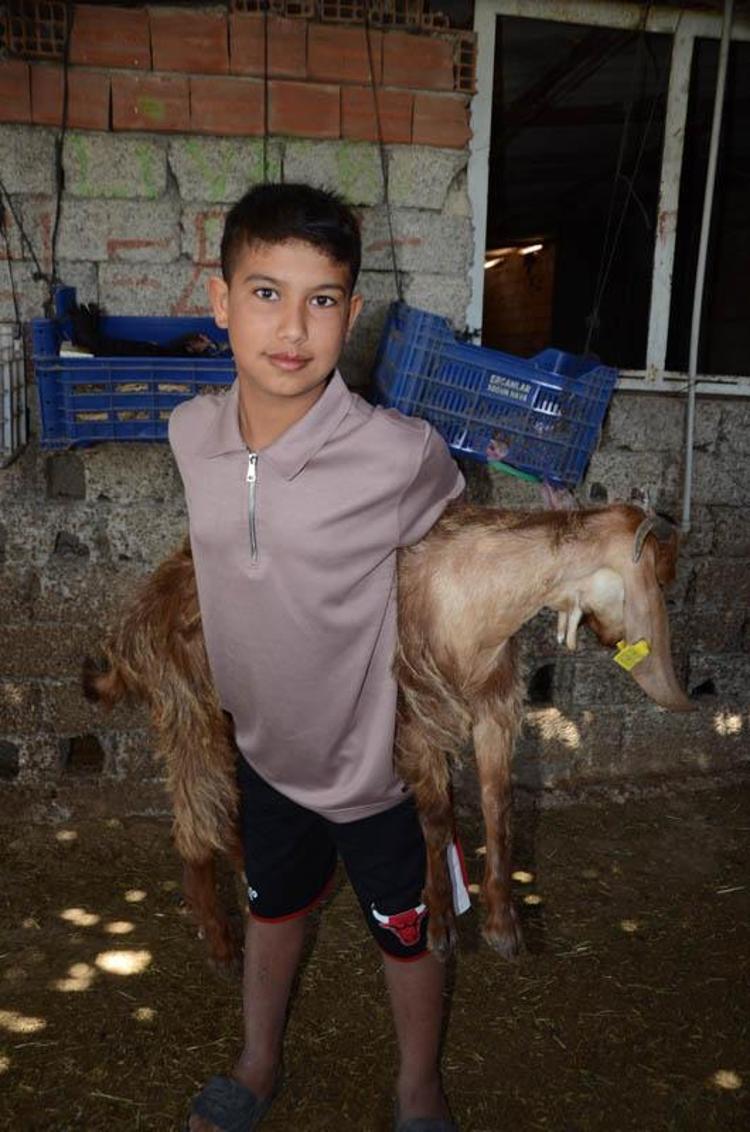 2 kuzen orman yangını sırasında rahatsızlanan keçiyi sırtlarında taşıdı