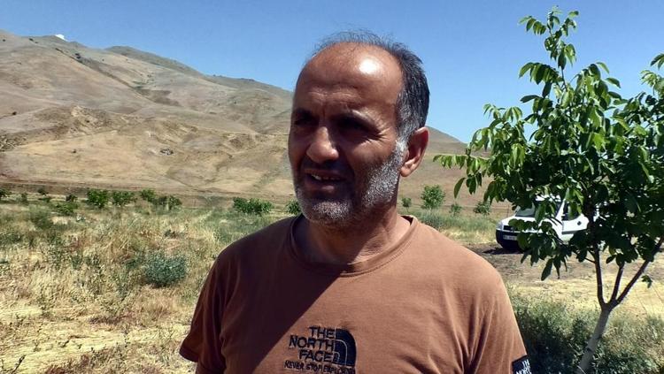 Dev çekirgeler tedirgin etti, uzmanı 'zarar vermeyin' dedi