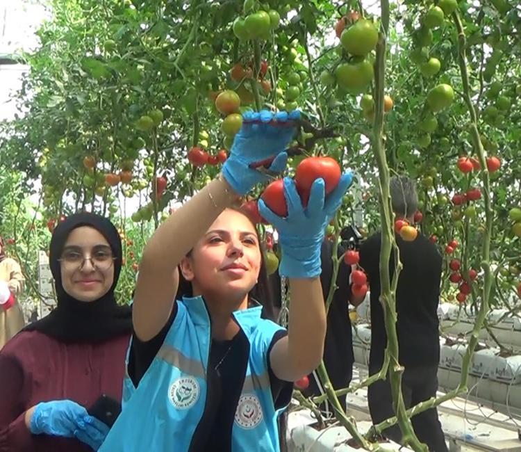 Çocuklar, COP31 farkındalık etkinliğinde hasat ettikleri ürünleri pazarda satışa sundu