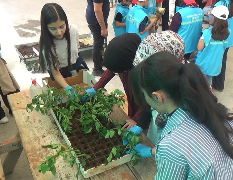 Çocuklar, COP31 farkındalık etkinliğinde hasat ettikleri ürünleri pazarda satışa sundu