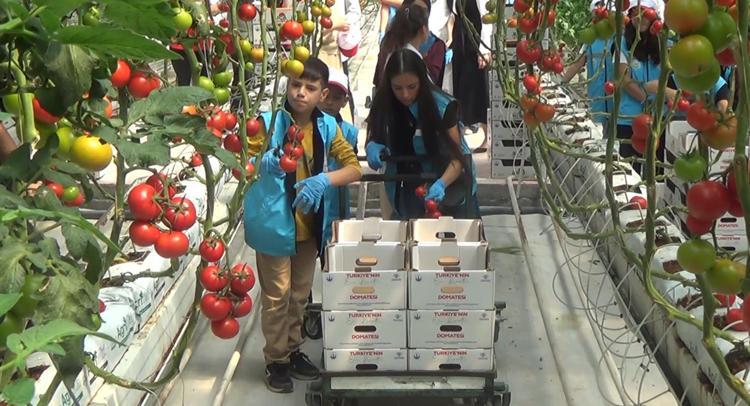 Çocuklar, COP31 farkındalık etkinliğinde hasat ettikleri ürünleri pazarda satışa sundu