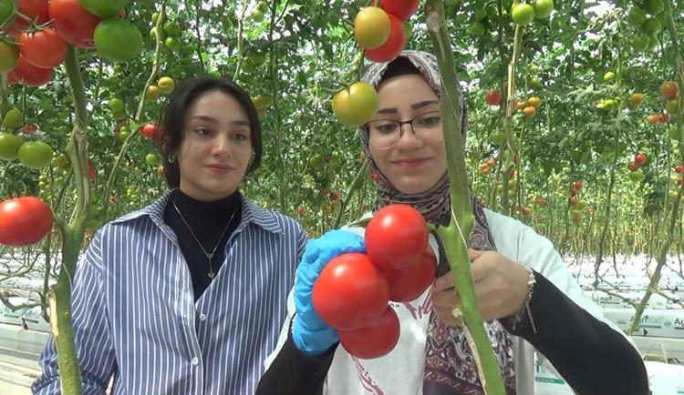Çocuklar, COP31 farkındalık etkinliğinde hasat ettikleri ürünleri pazarda satışa sundu
