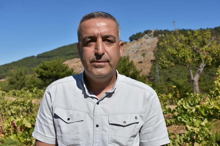Kavacık üzümü bahçede 60, markette 150-200 lira