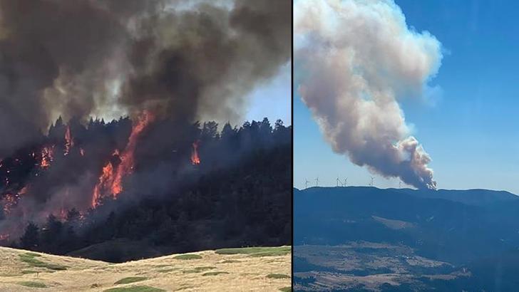 Ankara'da korkutan yangın!