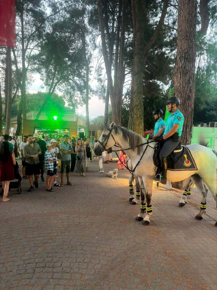 İzmir'de 12 ilçede atlı jandarma birlikleri görev yapıyor