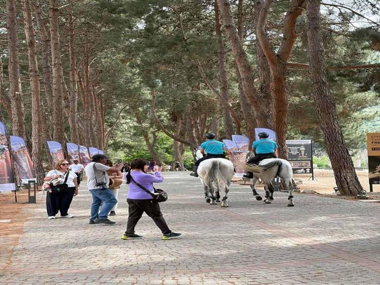 İzmir'de 12 ilçede atlı jandarma birlikleri görev yapıyor