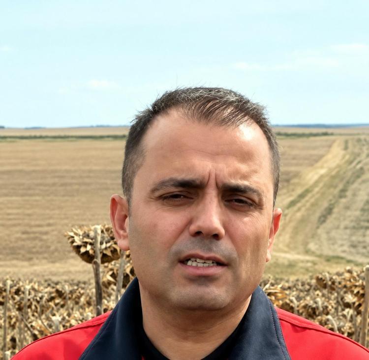 Kuraklıktan etkilenen ayçiçeğinde 3 farklı ekim yöntemi deneniyor