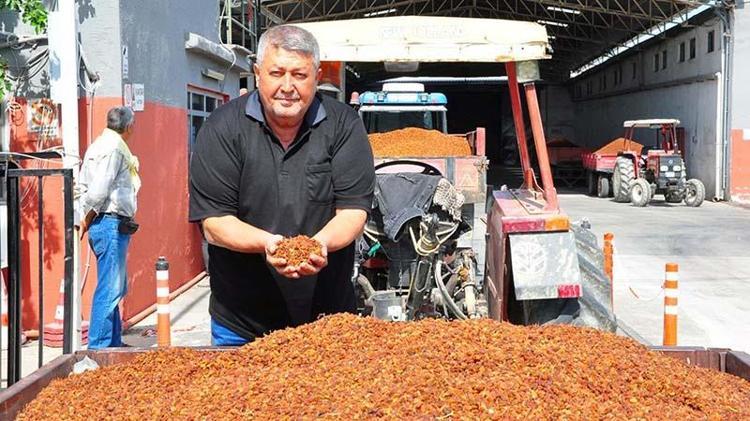 Üzüm alımına başlanan TMO önünde traktör kuyruğu