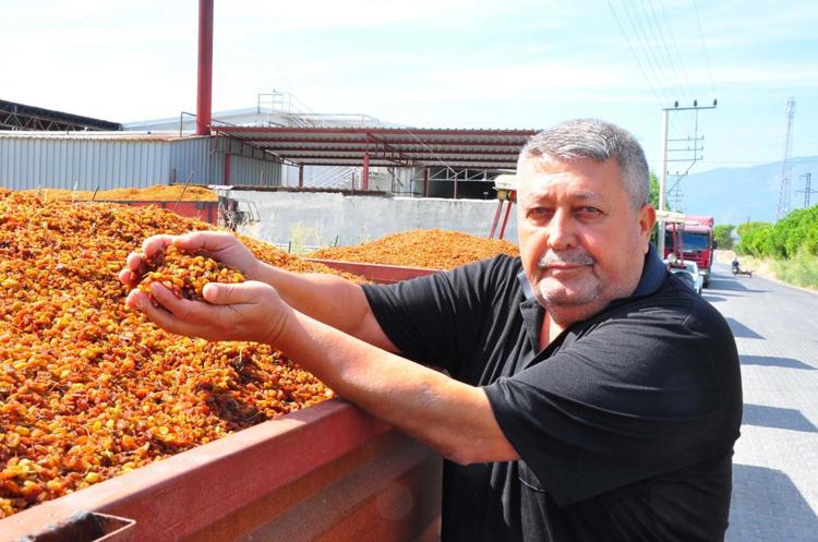Üzüm alımına başlanan TMO önünde traktör kuyruğu