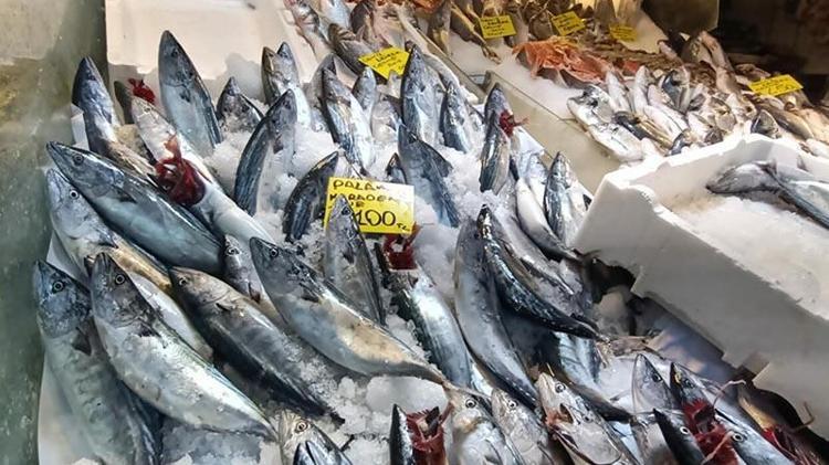 İzmir'de balık fiyatları düştü; palamut halde 60, tezgahta 100 TL