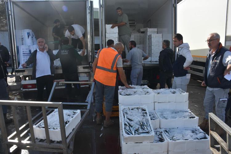 İzmir'de balık fiyatları düştü; palamut halde 60, tezgahta 100 TL