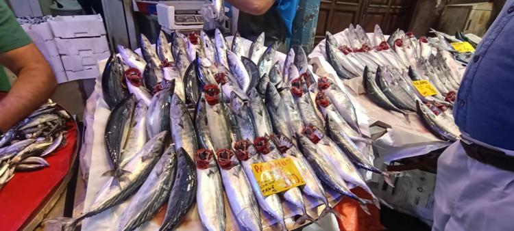 İzmir'de balık fiyatları düştü; palamut halde 60, tezgahta 100 TL