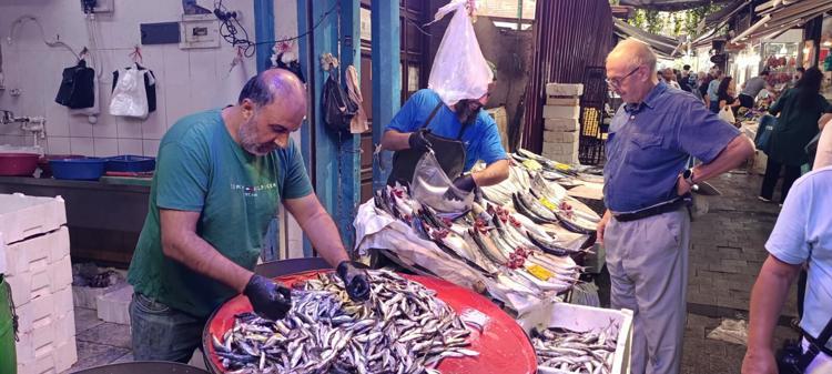 İzmir'de balık fiyatları düştü; palamut halde 60, tezgahta 100 TL