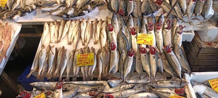 İzmir'de balık fiyatları düştü; palamut halde 60, tezgahta 100 TL