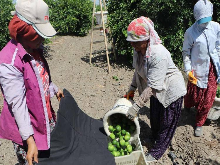 Tedarik zincirinde fahiş fiyatlara çözüm için 'üretici birlikleri' önerisi