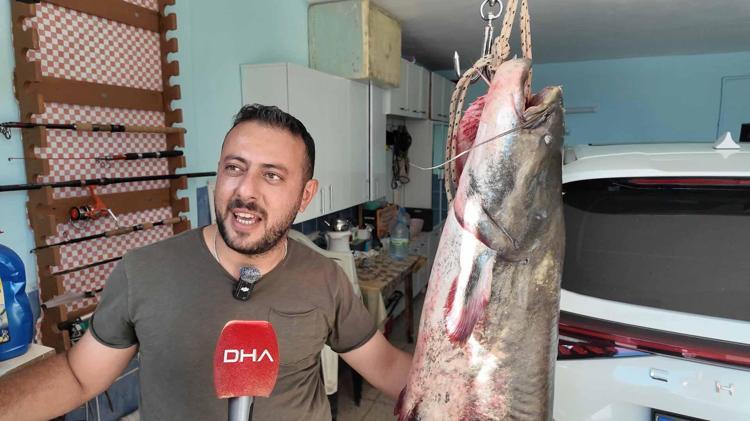 Kızılırmak'ta oltaya 190 santimetrelik yayın balığı takıldı