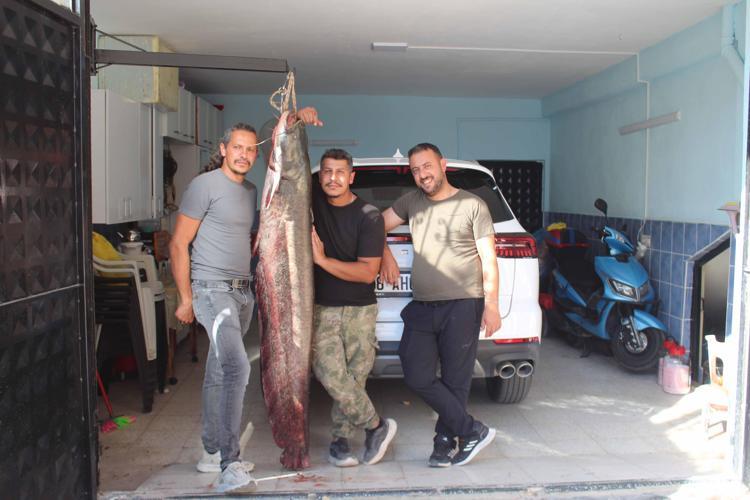 Kızılırmak'ta oltaya 190 santimetrelik yayın balığı takıldı