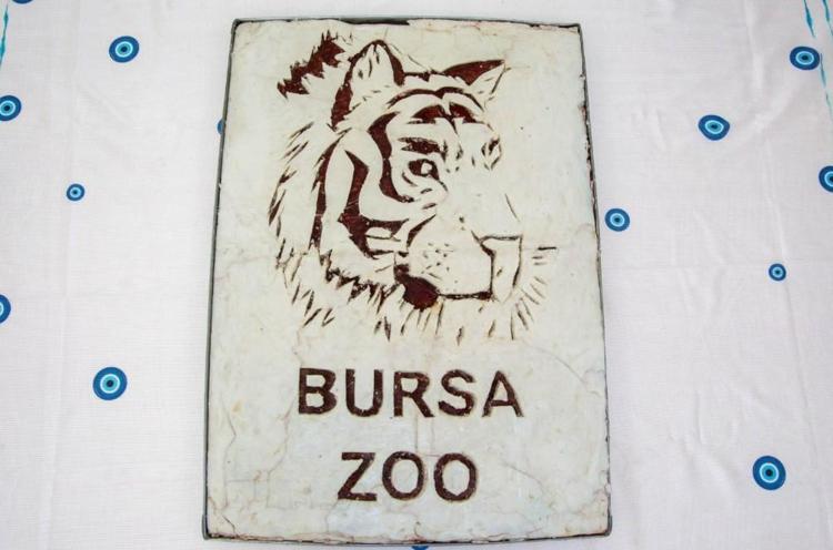 Türkiye’de doğan tek Sibirya kaplanı ‘Virginia’nın 100’üncü günü kutlandı