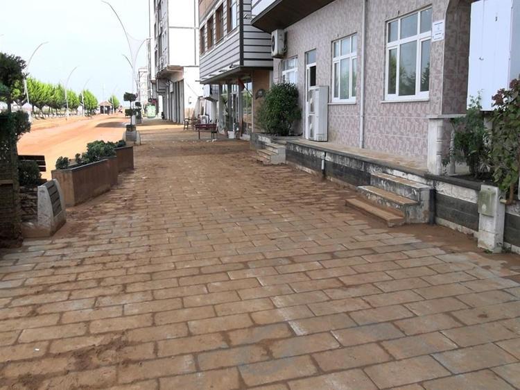 Rize'de heyelanlı bölgede çay hasadı