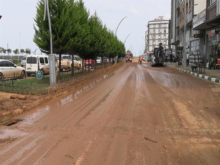 Rize'de heyelanlı bölgede çay hasadı