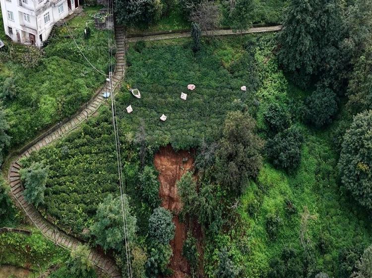 Rize'de heyelanlı bölgede çay hasadı