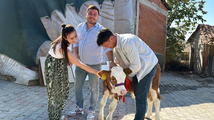 Düğünde gelin ve damada takı yerine buzağı hediye edildi