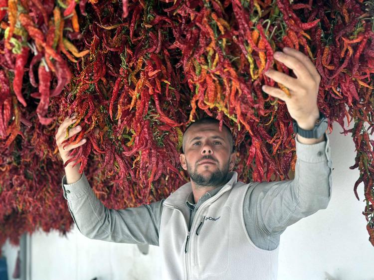 Edirne tava ciğerinin vazgeçilmezi Karaağaç biberinde kurutma dönemi