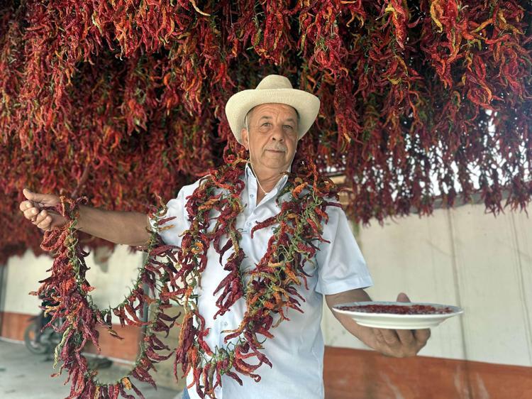 Edirne tava ciğerinin vazgeçilmezi Karaağaç biberinde kurutma dönemi