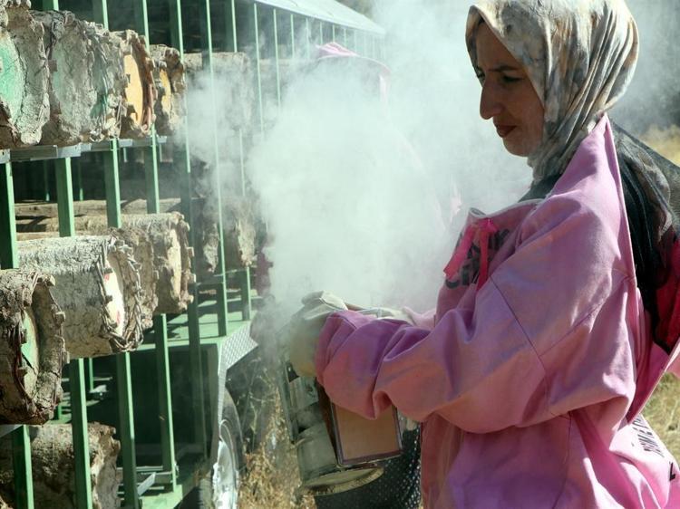'Pembe maskeli’ kadın arıcılar hasada başladı