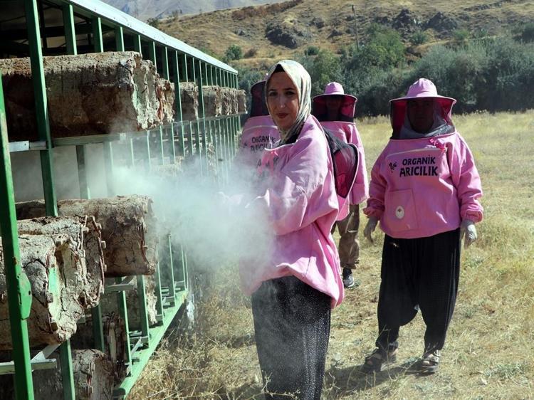 'Pembe maskeli’ kadın arıcılar hasada başladı