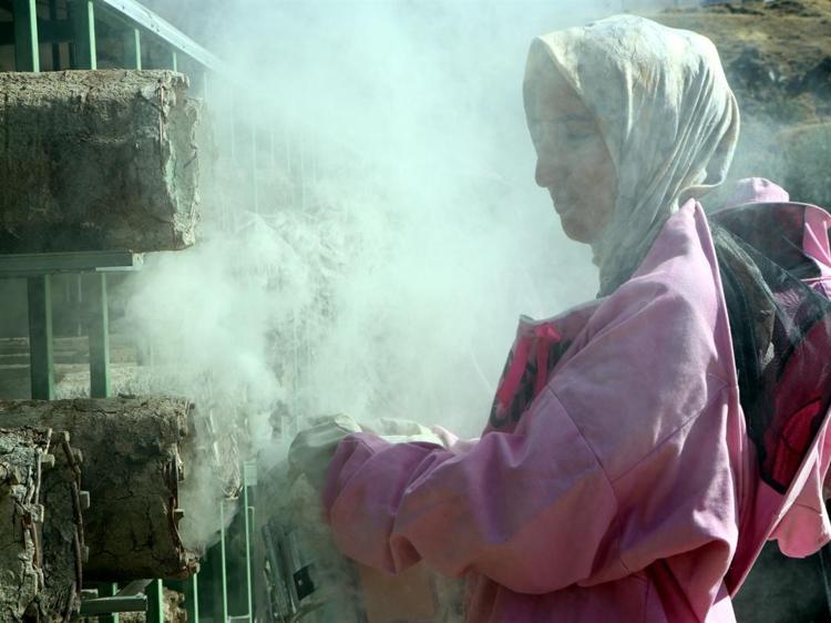 'Pembe maskeli’ kadın arıcılar hasada başladı
