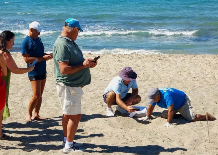 Kuşadası’nda yuvada sıkışan 22 caretta caretta yavrusu denizle buluşturuldu