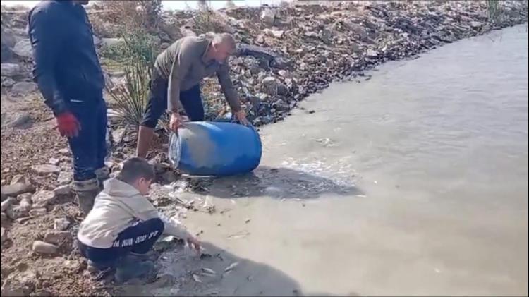 Sulama kanallarında mahsur kalan binlerce balık göletlere taşındı