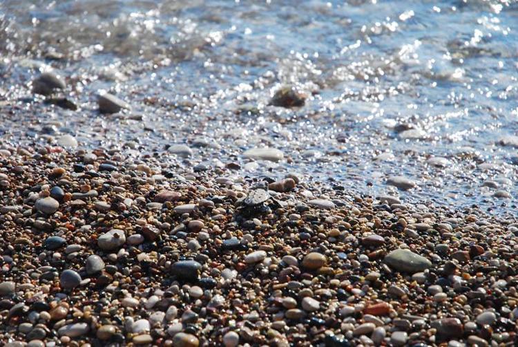 Çıralı'da son yuva açıldı; bu yıl 3 bin 458 yavru caretta caretta denizle buluştu