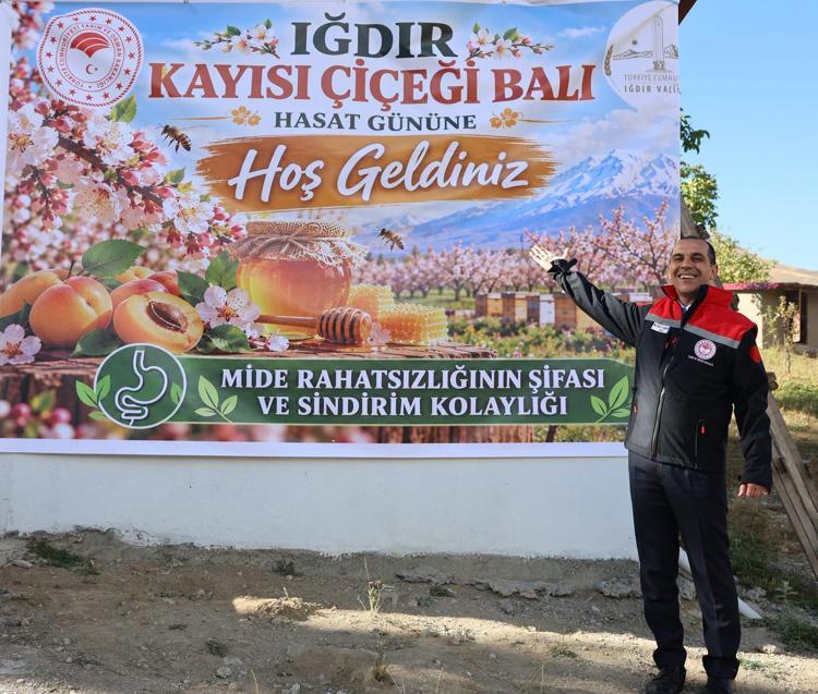 Iğdır'da kayısı çiçeği balı hasadı