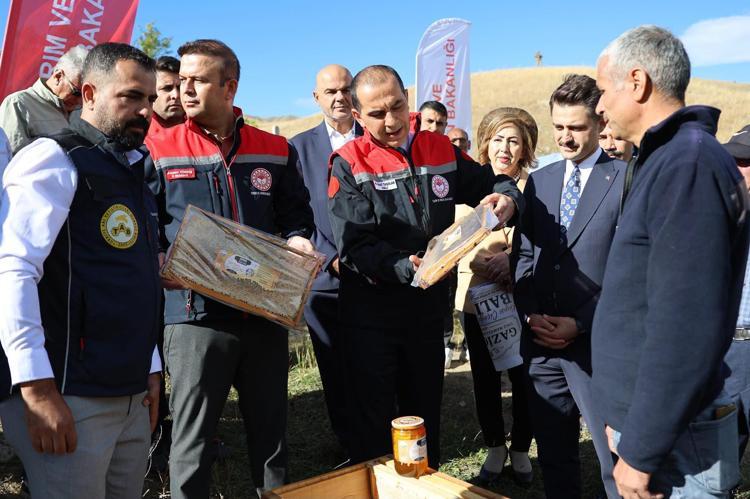 Iğdır'da kayısı çiçeği balı hasadı