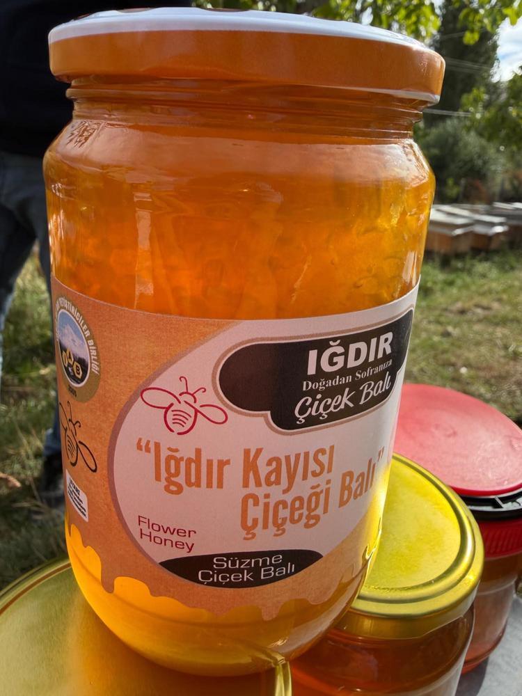 Iğdır'da kayısı çiçeği balı hasadı