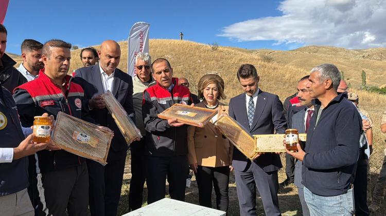 Iğdır'da kayısı çiçeği balı hasadı