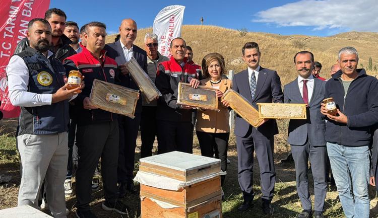 Iğdır'da kayısı çiçeği balı hasadı