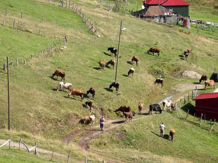 Trabzon’da sis bulutu dronla görüntülendi
