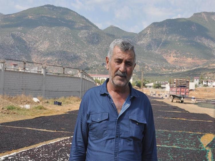 Coğrafi işaretli 'Antep karası' üzümünde kurutma zamanı