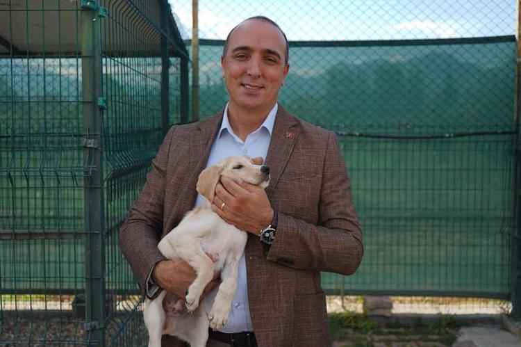 Yangında kurtarılan köpekler yuva bekliyor