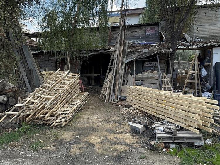 Zeytinde rekolte beklentisi, teknolojiye rağmen ahşap merdivene olan talebi artırdı