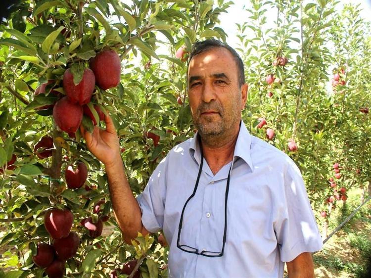 Geçen yıl don vuran Yeşilhisar elması, bu yıl üreticinin yüzünü güldürdü