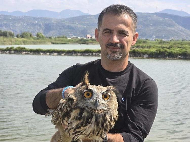 Hatay'da vurulan puhu cinsi baykuş, tedaviye alındı