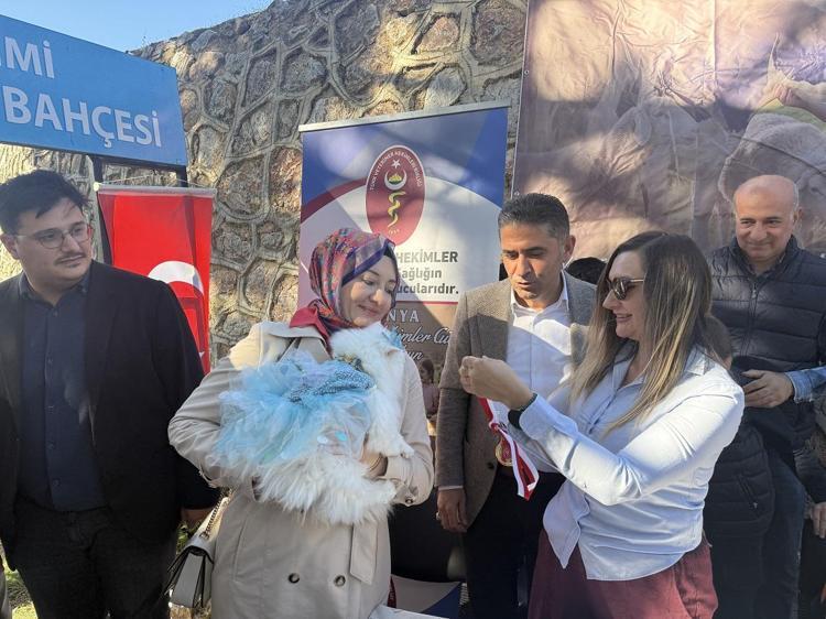 Tokat'ta kediler güzellik yarışmasında podyuma çıktı