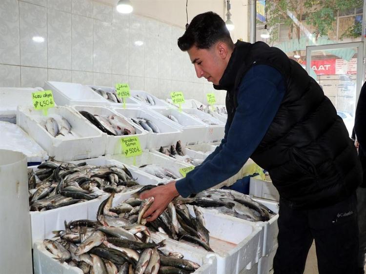Van Gölü'nde inci kefalinin boyu, koruma çalışmalarıyla yüzde 30 uzadı